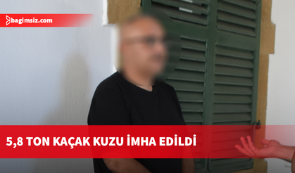 Kaçak kuzu operasyonu: 233 hayvan ve mühürsüz etler ele geçirildi