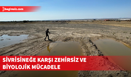 Serinsu: Mücadele uçkun sivrisineğe değil, kaynağa yapılıyor