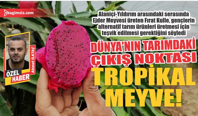 Dünyanın tarımdaki çıkış noktası tropikal meyve!