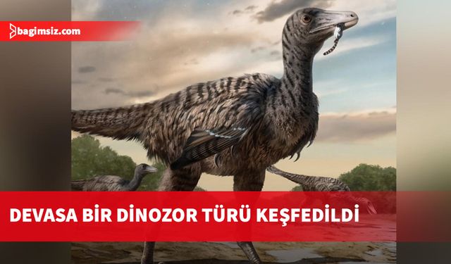 Velociraptorlardan iki-üç kat büyük