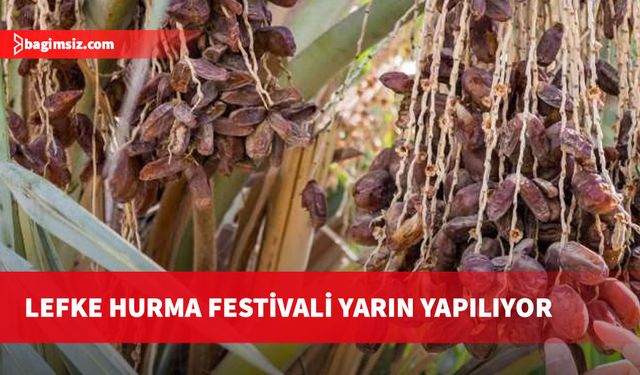 Lefke Hurma Festivali yarın yapılıyor