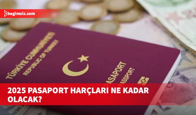 Türkiye'de 6 aylık pasaport harcı 2 bin 359 TL'ye yükseldi