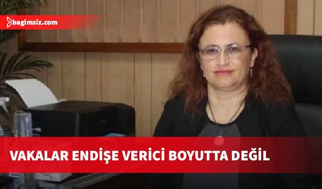 Deren Oygar: Ülkede mevsimsel grip vakaları var, endişe verici boyutta değil