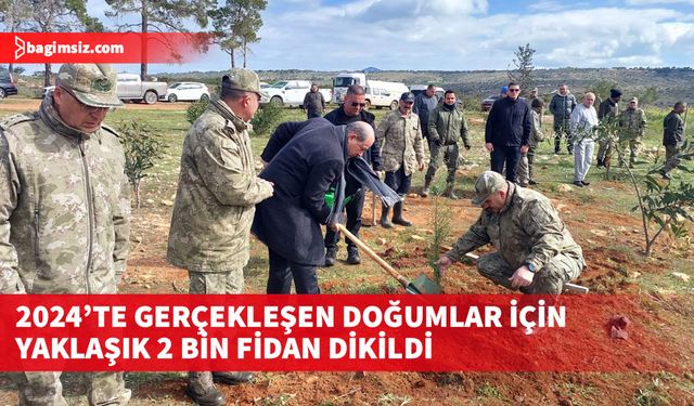 "Cumhurbaşkanlığı Hoşgeldin Bebek Hatıra Ormanı"na fidan dikimi etkinliği gerçekleşti