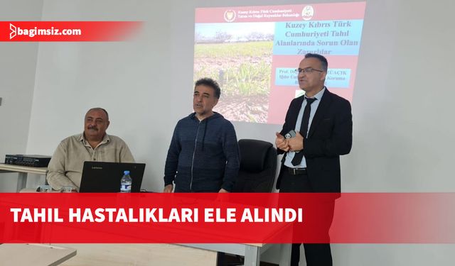 Tahıl hastalıkları ve zararlılarıyla mücadele yöntemleri konusunda üreticilere eğitim verildi