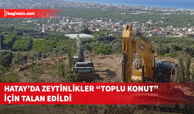 Hatay Samandağ’da tarım ve bahçe arazileri “toplu konut” için kamulaştırıldı