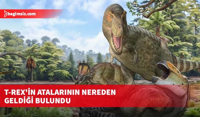 T-rex'in atalarının nereden geldiği bulundu