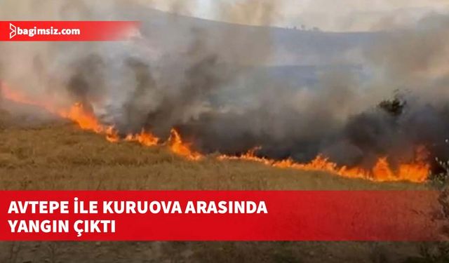Avtepe ile Kuruova arasında yangın çıktı