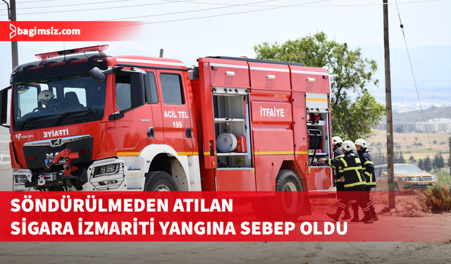 Atılan sigara izmariti yangına sebep oldu: 250 metrekarelik alan küle döndü