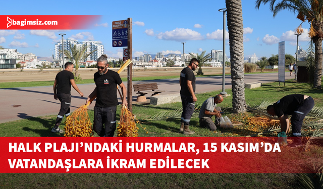 İskele Belediyesi geleneksel hurma dağıtımı 15 Kasım Cumhuriyet Bayramı’nda yapılıyor