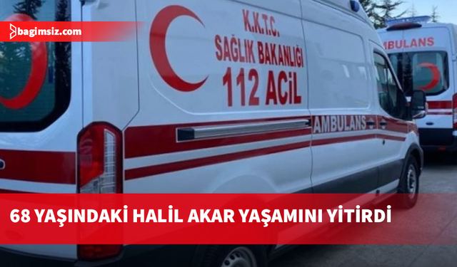 Yeşilırmak'ta ölümlü iş kazası: Kestiği dalın çarpması sonucu yaşamını yitirdi...