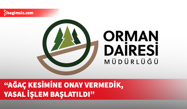Orman Dairesi’nden Boğazköy’deki ağaç kesimine tepki