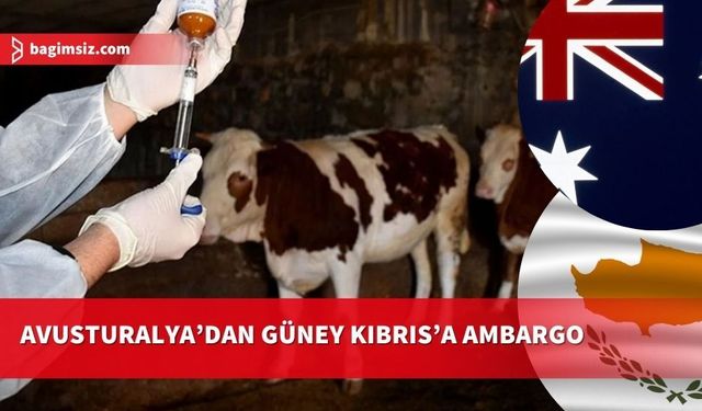 Avusturalya’dan Güney Kıbrıs’a KKTC’deki şap hastalığı nedeniyle ambargo