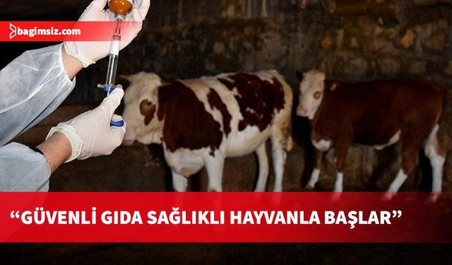 Gıda Mühendisleri Odası’ndan şap hastalığı açıklaması