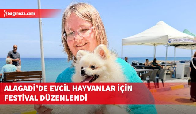 Alagadi’de evcil hayvanlar için festival düzenlendi