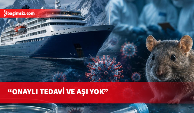 EMA'dan korkutan hantavirüs açıklaması: Onaylı tedavi ve aşı yok