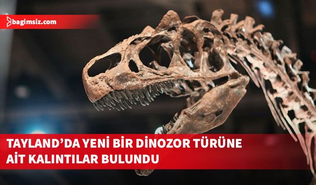 Tayland'da yeni bir dinozor türüne ait kalıntılar bulundu