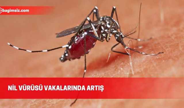 Batı Nil virüsünün yüksek dolaşım dönemi eylül sonuna kadar sürebilir