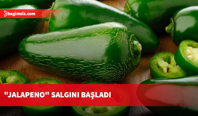 "Jalapeno" salgını başladı: Menülerden kaldırılıyor