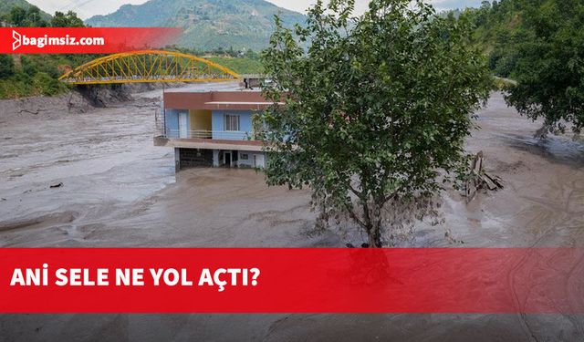 Dev buz kütlesi koptu, sel 10 dakikada 20 kilometre ilerledi