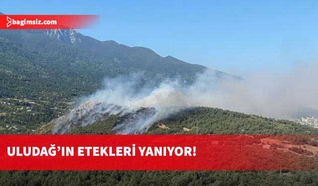 Uludağ’ın eteklerinde alevler yükseldi: Çam ormanları yanıyor!