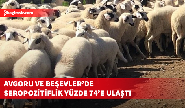 Güney Kıbrıs’ta iki küçükbaş çiftliği için şap hastalığı değerlendirmesi