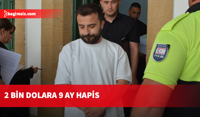 Müşteriden aldığı 2 bin Doları şirkete vermedi, 9 ay hapis cezasına çarptırıldı
