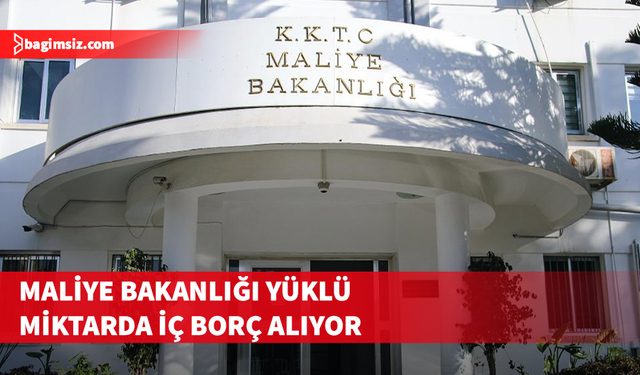 Maliye Bakanlığı 5 milyar TL, 7 milyon dolar ve 14 milyon sterlin borçlanma kararı aldı