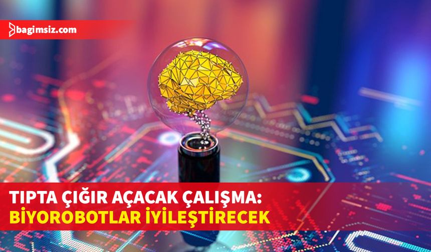 Bilim insanları Tıp alanında çığır açabilecek bir çalışmanın ayrıntılarını paylaştı