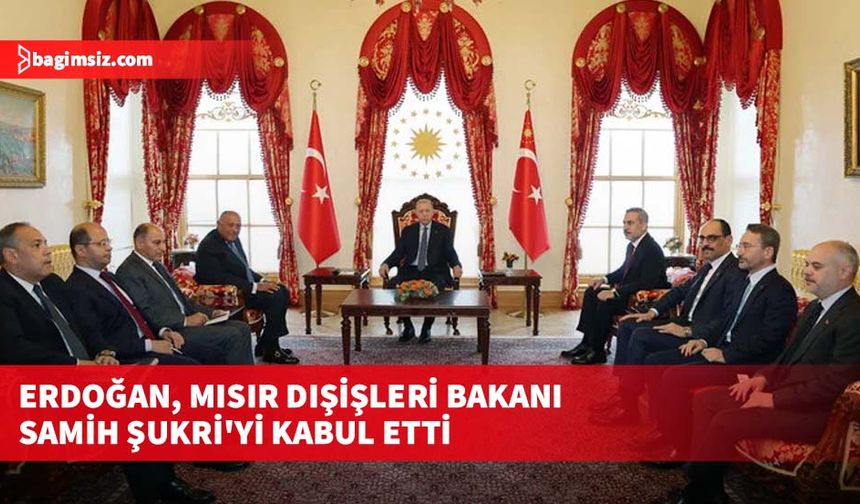 Türkiye Cumhurbaşkanı Erdoğan, Mısır Dışişleri Bakanı Samih Şukri'yi kabul etti