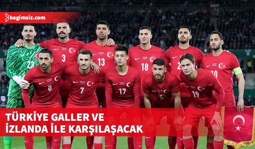Türkiye'nin Galler ve İzlanda maçlarının oynanacağı statlar belli oldu