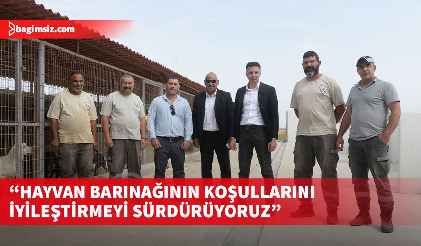 Gönyeli Alayköy Belediyesi Başkanı Amcaoğlu, hayvan barınağının koşullarını iyileştirmeyi sürdürdüklerini kaydetti