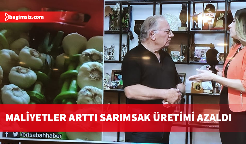 Sarımsak Üreticisi Osman Çalıcıoğlu: İnsanlar artık masraflı diye sarımsak üretimi yapmak istemiyor