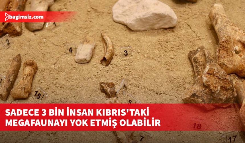 Sadece 3 bin insan Kıbrıs'taki megafaunayı yok etmiş olabilir