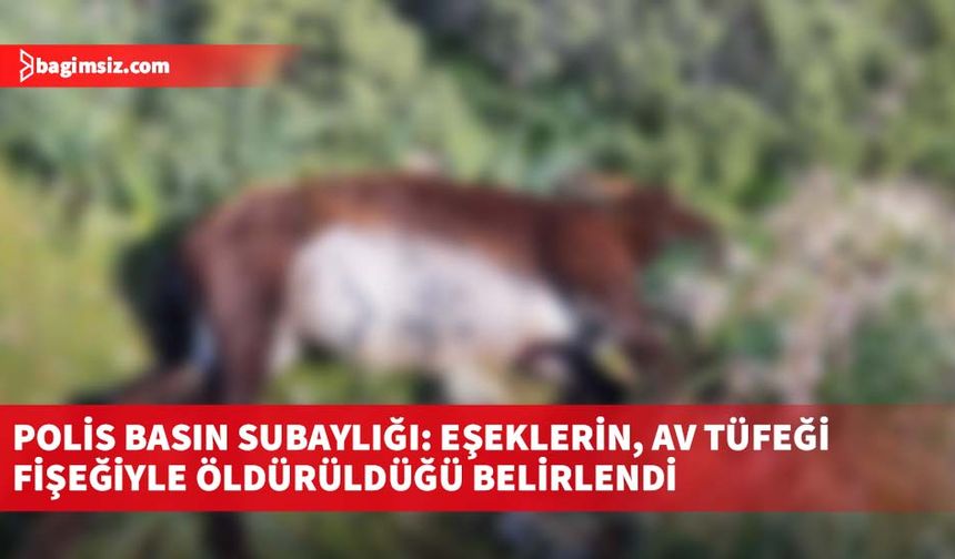 Polis Basın Subaylığı: Eşeklerin, av tüfeği fişeğiyle öldürüldüğü belirlendi