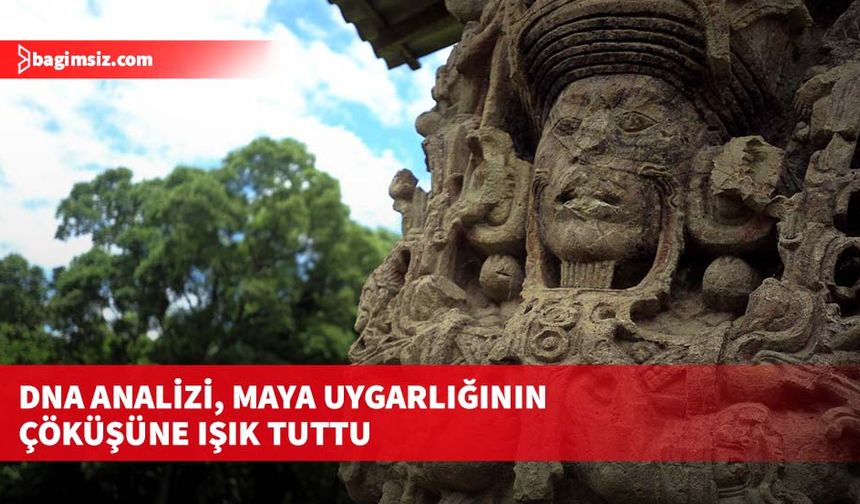 DNA analizi, Maya uygarlığının çöküşüne ışık tuttu