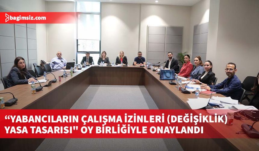 “Yabancıların Çalışma İzinleri (Değişiklik) Yasa Tasarısı" oy birliğiyle onaylandı