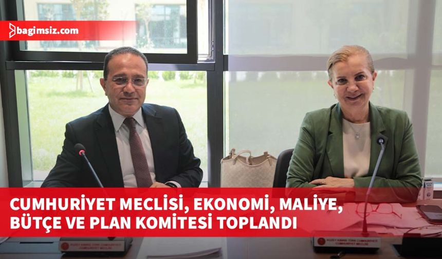 Cumhuriyet Meclisi, Ekonomi, Maliye, Bütçe ve Plan Komitesi toplandı
