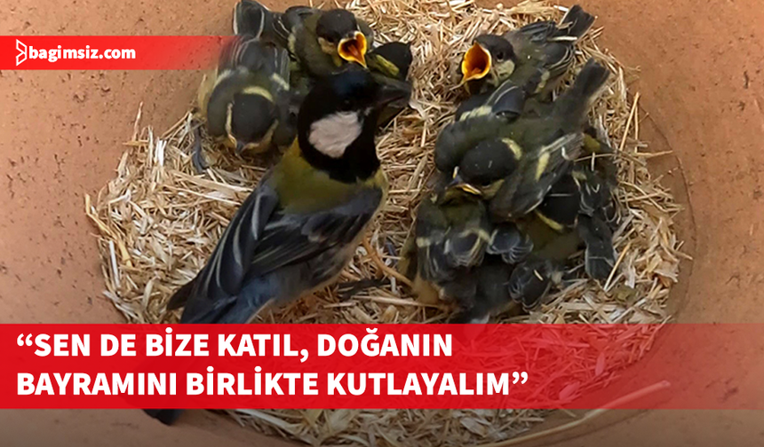 Her Daim Doğa Dostları ile paydaş örgütleri, 5 Haziran Dünya Çevre Gününü kutlayacak