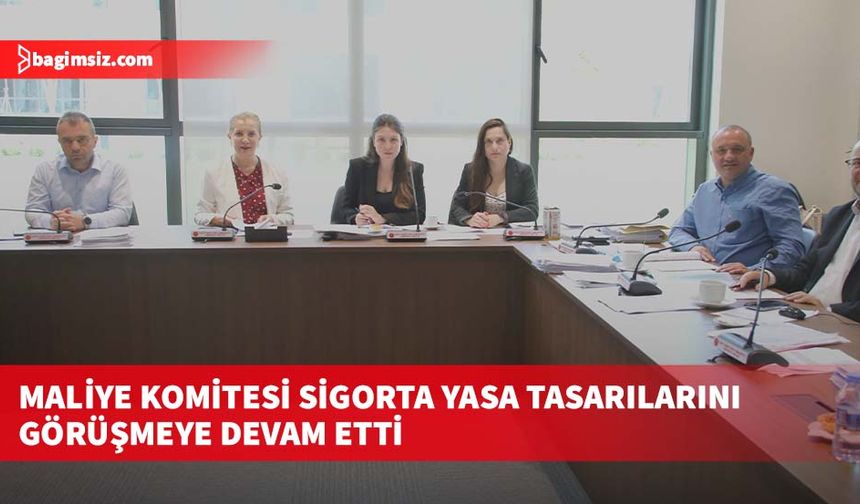 Maliye Komitesi sigorta yasa tasarılarını görüşmeye devam etti
