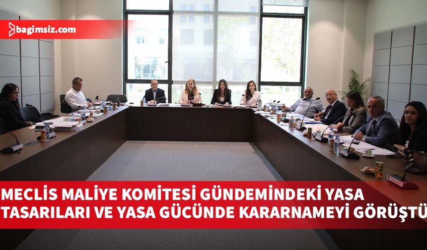 Meclis Maliye Komitesi gündemindeki yasa tasarıları ve yasa gücünde kararnameyi görüştü