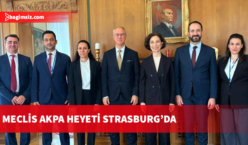 KKTC Milletvekilleri, Avrupa Konseyi Yetkilileriyle Görüştü