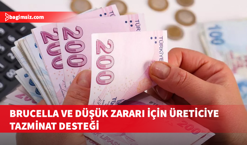 Düşük ve brucella tazminatları ödendi