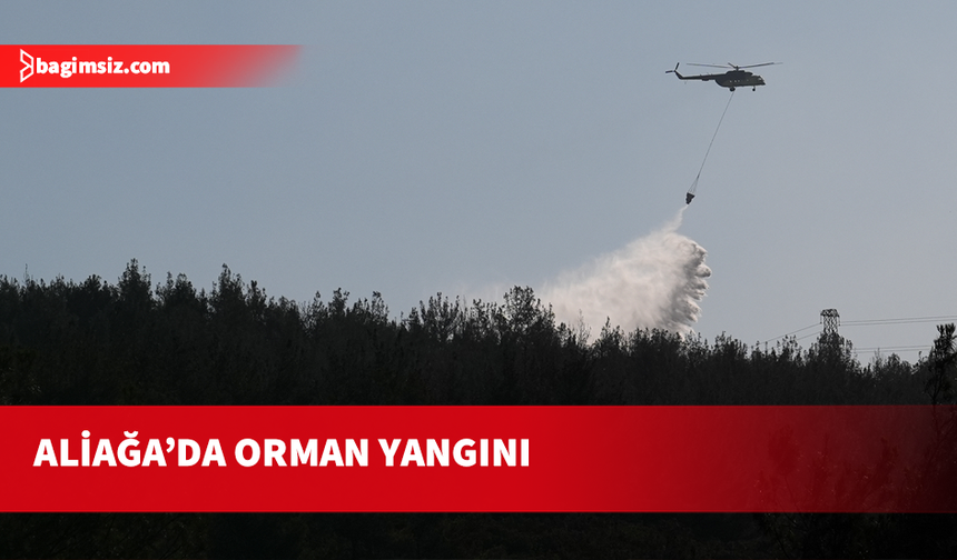 İzmir'de yeniden orman yangını çıktı