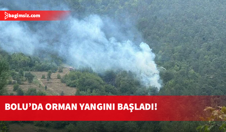 Bolu'da orman yangını...