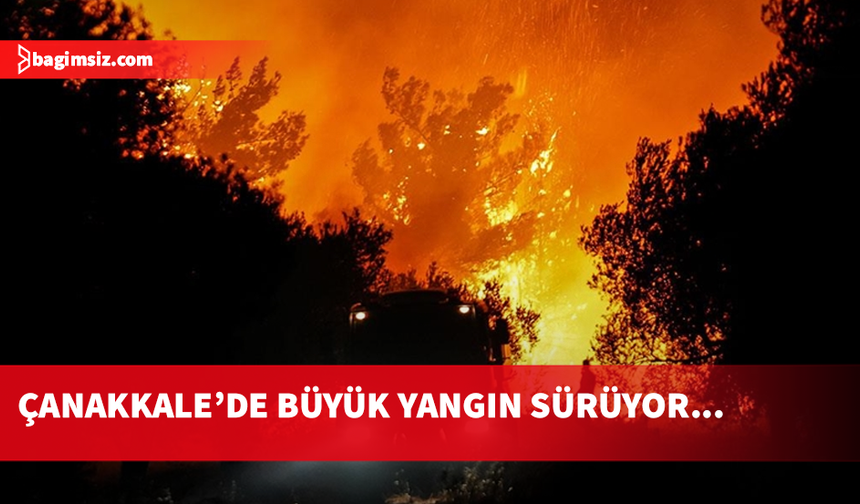 Türkiye’nin dört bir yanında orman yangınlarıyla mücadele sürüyor!