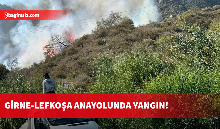Girne-Lefkoşa anayolunda yangın