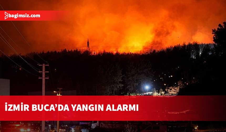 İzmir'de ormanlık alana sıçrayan yangına müdahale ediliyor