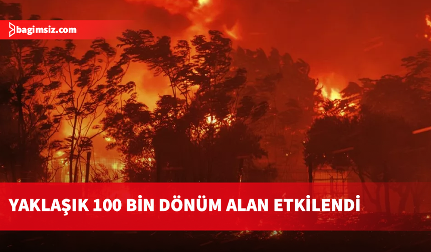 Yunanistan orman yangınlarıyla mücade ediyor