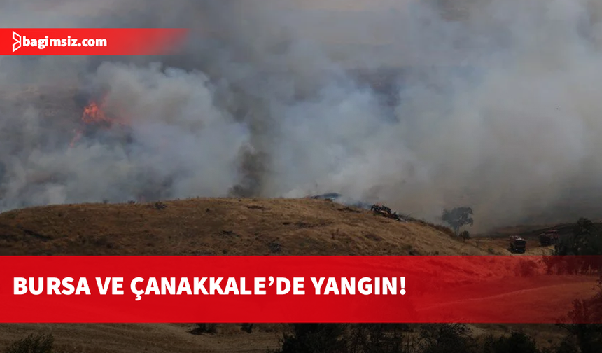 Bursa ve Çanakkale'de alevlerle mücadele sürüyor!